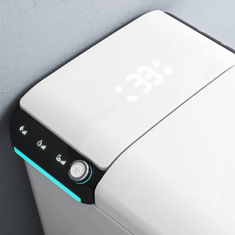 Sanitary Ware One Piece Ceramic Floor Mounted Smart Toilet