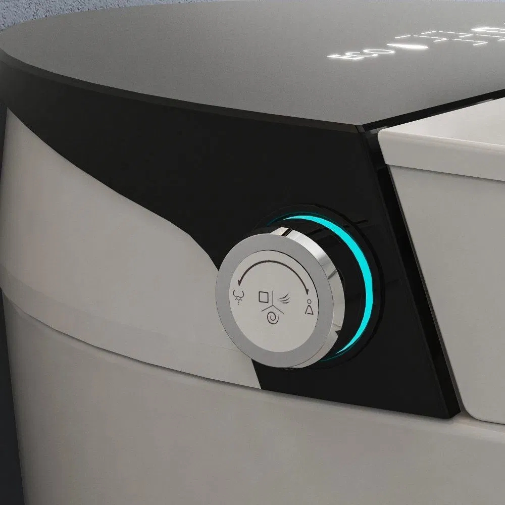 Sanitary Ware Automatic Smart Water Closet Toilet