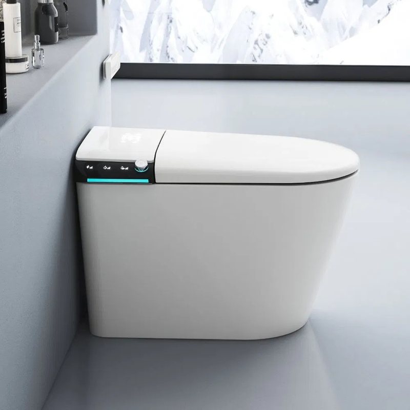 Sanitary Ware One Piece Ceramic Smart Toilet