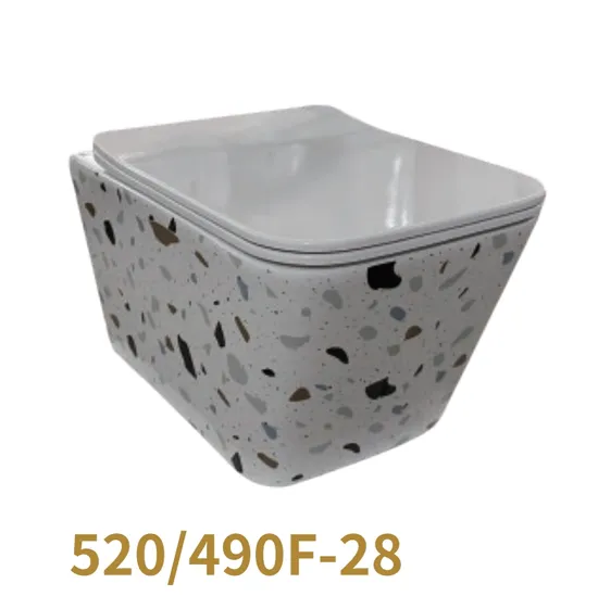 Sanitary Ware Toilet Wc Bowl Hanging Mounted Rimless Toilet