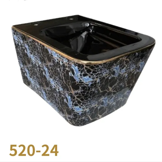 Wall Mounted Toilet Bathroom Ceramic Wall Hung Toilet