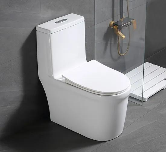 One Piece Toilet with Comfort Chair Seat Dual Flush White Toilet Bowl