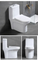 Bathroom Sanitary Ceramica One Piece Toilets