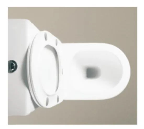 Sanitary Ware Wall Faced Watermark Toilet with Cover Seat