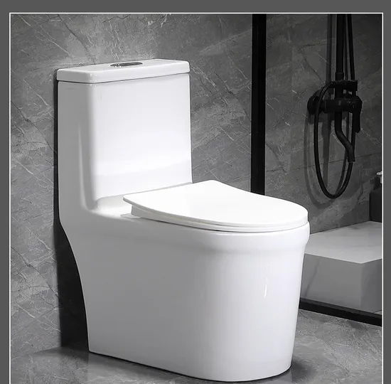 Wholesale Dual Flush Washdown One Piece Toilet Water Closet for Sale