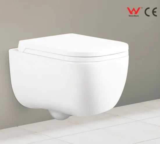 White Wall Hung Toilet with UF Soft Close Seat Cover