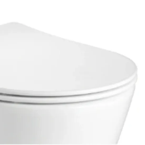 Modern Design Siphonic Bathroom Sanitaryware Wc White One-Piece Toilet