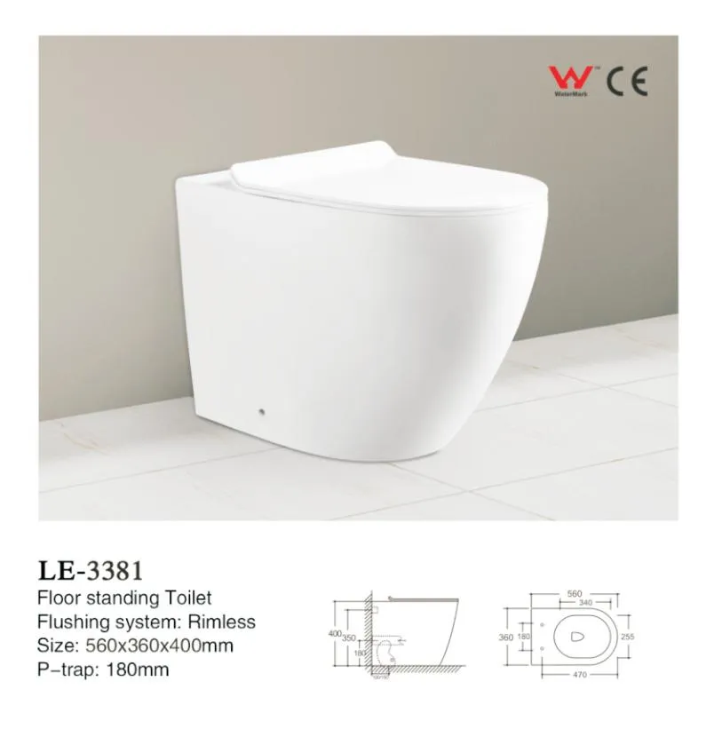 Wall Hung Toilet Wall Mount Hotel Toilet for Bathroom