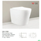 Hot Selling Wall Hung Toilet with Standard Package
