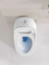 Nice Design Sanitary Ware Ceramic One Piece Toilet with Colored Line