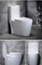 Bathroom Sanitaryware Siphonic 1 Piece Wc Toilet Water Closet