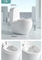Personalized Hand Flush Toilet Bowl White Matte Water Closet One Piece