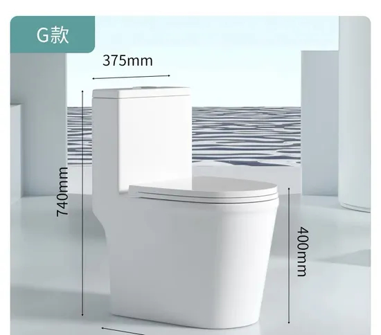 Modern Design One Piece Water Closets with Soft Closing Toilet Seat