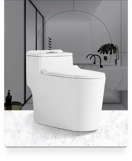 Wc Design Bathroom Ceramic One-Piece White Colored Toilets Bowl