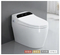 2024 Luxury Ceramic Sanitary Ware Siphon Floor Mounted Smart Toilet