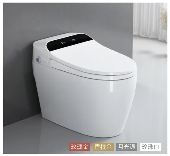 2024 Luxury Ceramic Sanitary Ware Siphon Floor Mounted Smart Toilet