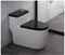 One-Piece Elongated Siphonic Toilet with Dual-Flush and Soft-Close Seat