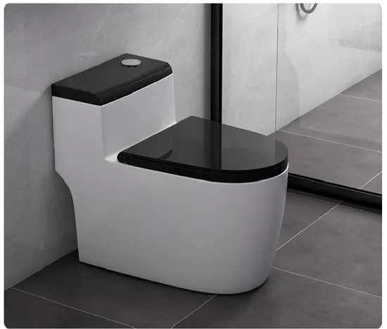 One-Piece Elongated Siphonic Toilet with Dual-Flush and Soft-Close Seat