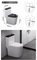 Sanitary Fixtures Water-Efficient Comfortable Seating Ceramica One Piece Toilets
