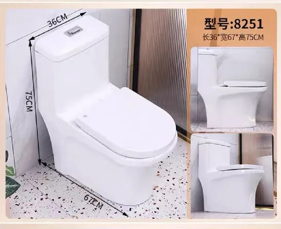 Bathroom Ceramic Washdown One Piece Wc P-Trap/S-Trap Color Toilet