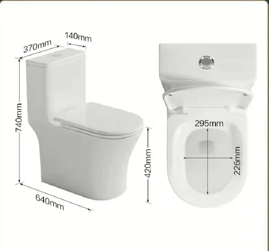 Ceramic Compound S-Trap P-Trap Washdown One-Piece Toilet for Sale