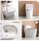 One Piece Siphonic Washdown Wc Bathroom Commode Toilet Bowl