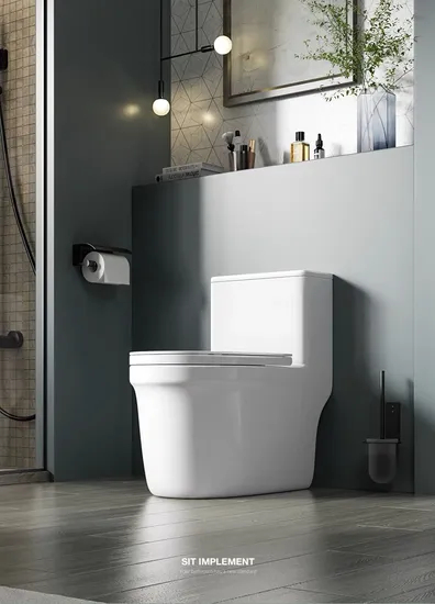 One Piece Siphonic Washdown Wc Bathroom Commode Toilet Bowl