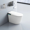Sanitary Ware One Piece Ceramic Floor Mounted Smart Toilet