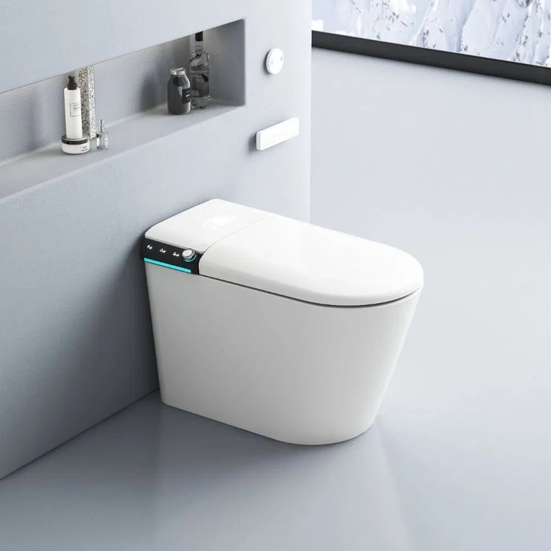 Sanitary Ware One Piece Ceramic Floor Mounted Smart Toilet