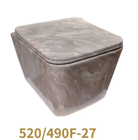 Save Space Small Size Wall Hung Mounted Toilet