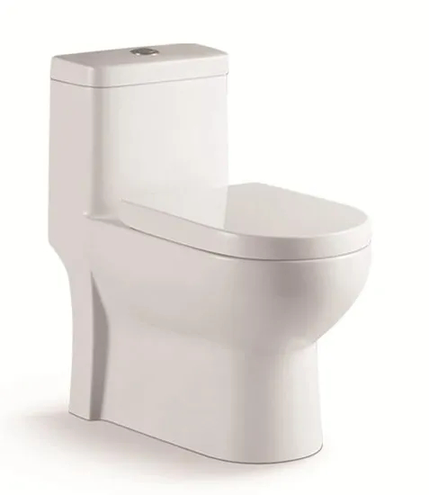 Cheap Personalized Toilet Bowl Hand Flush White Matte Water Closet White