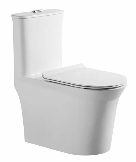 China Wholesale Sanitary Ware Water Closet Toilet Bowl Western One-Piece Ceramic Toilet