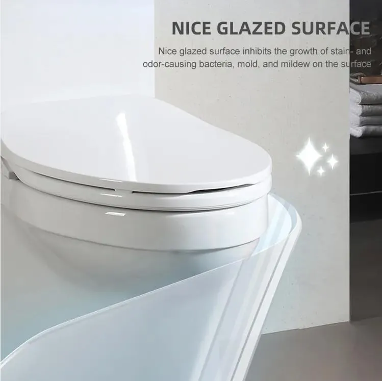 Bathroom Ceramic Siphonic One Piece Wc P-Trap/S-Trap Toilet