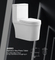 Water Closet Bathroom Modern Western Elongat Wc Ceramic One Piece Toilet