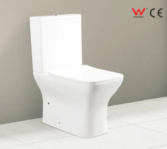 Bathroom Sanitary Ware Watermark Ceramic Toilet