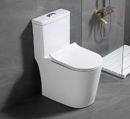 Bathroom Sanitary Ceramica One Piece Toilets