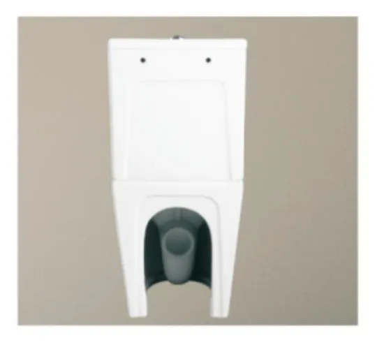 Sanitary Ware Wall Faced Watermark Toilet with Cover Seat