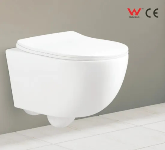 Custom Marble Wall Hung Toilet Bowl Ceramic Wc Toilet with Concealed Cistern