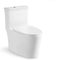 Made in China Bathroom Western Style One Piece Toilet Siphonic Flush