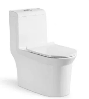 Siphonic S Trap Water Toilets for Bathrooms Comfort Height One Piece Toilet