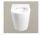 Hot Selling Wall Hung Toilet with Standard Package