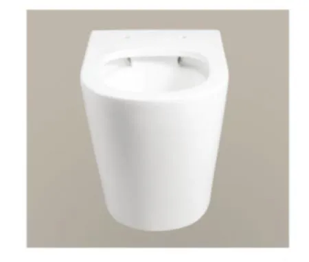 Hot Selling Wall Hung Toilet with Standard Package