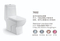 Chaozhou New Arrival Modern Products S Trap One Piece Shower Toilet