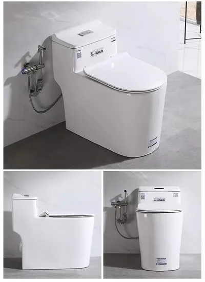 Sanitary Ware Toilet Ceramic Toilet Bowl Siphonic One Piece