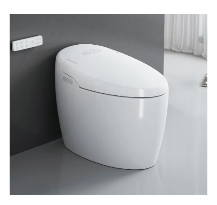 Flushing Oval Shape Porcelain Ceramic Bathroom One Piece Wc Toilet