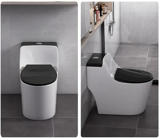 Modern Rimless Flushing System Toilet Ceramic One Piece Water Closet
