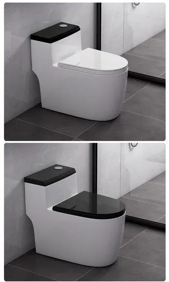 One-Piece Elongated Siphonic Toilet with Dual-Flush and Soft-Close Seat