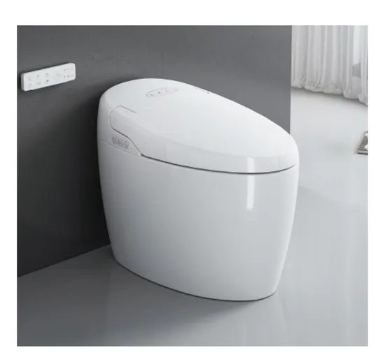 Modern Intelligent Ceramic Bathroom Smart Toilet