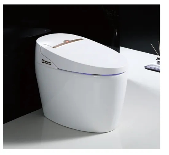 Modern Intelligent Ceramic Bathroom Smart Toilet