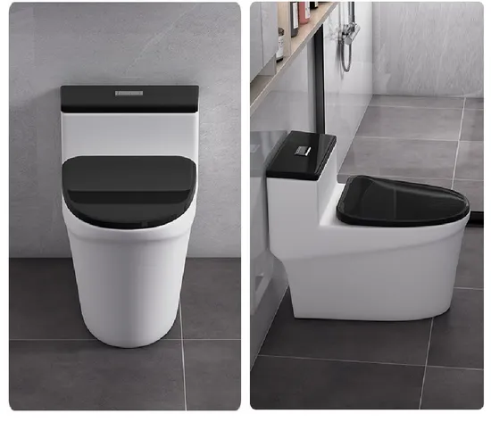 Ceramic Sanitaryware Bathroom Furniture Water Closet One Piece Toilet